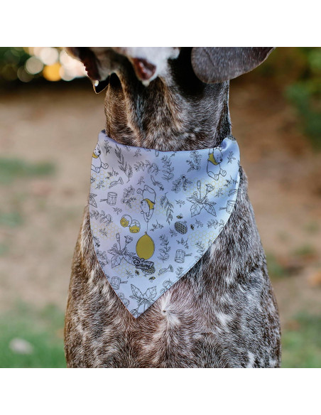 Bandana para Mascotas Disney Winnie The Pooh 19x25cm