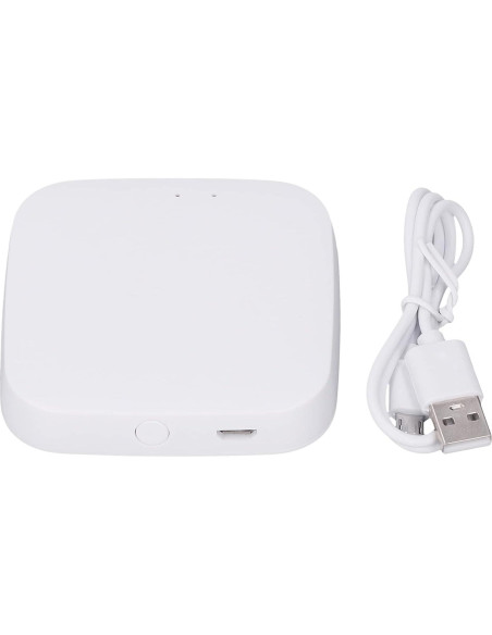 Cerradura Inteligente Bluetooth TOPINCN para ZigBee Control Remoto