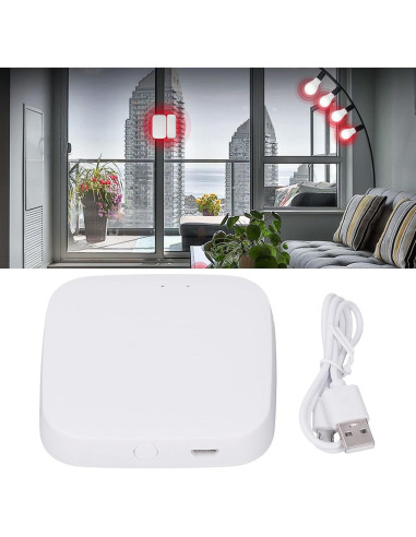 Cerradura Inteligente Bluetooth TOPINCN para ZigBee Control Remoto