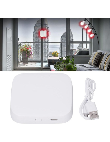 Cerradura Inteligente Bluetooth TOPINCN para ZigBee Control Remoto