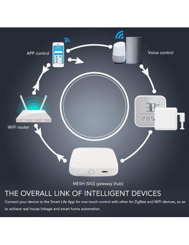 Cerradura Inteligente Bluetooth TOPINCN para ZigBee Control Remoto