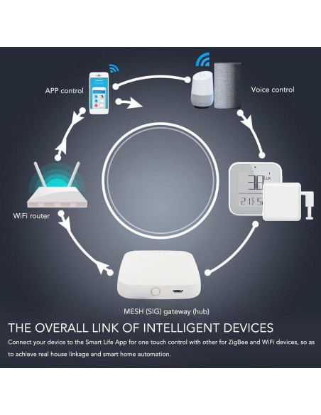 Cerradura Inteligente Bluetooth TOPINCN para ZigBee Control Remoto