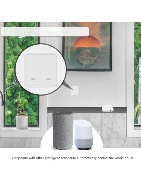 Cerradura Inteligente Bluetooth TOPINCN para ZigBee Control Remoto