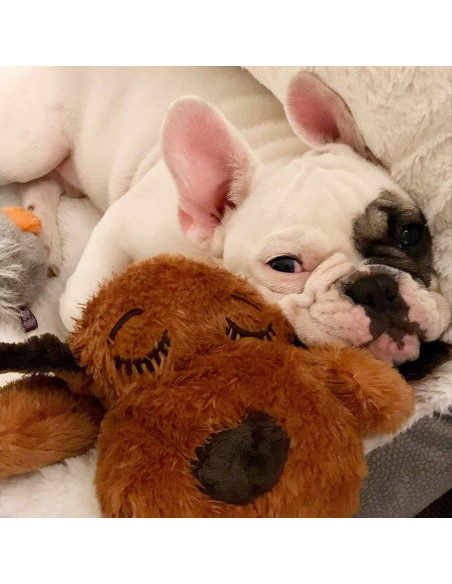 Paquete de 12 Calentadores de Manos Snuggle Puppy Naturales