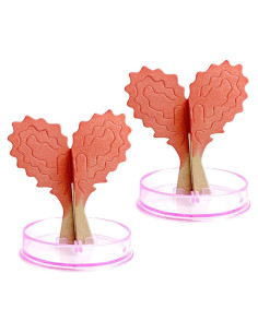 Kit de Crecimiento de Cristales en Forma de Corazón Vaguelly