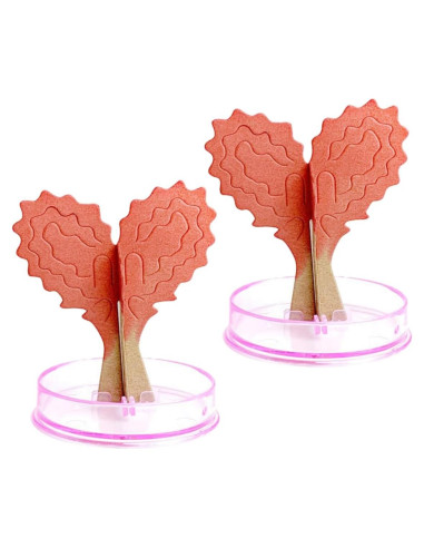 Kit de Crecimiento de Cristales en Forma de Corazón Vaguelly