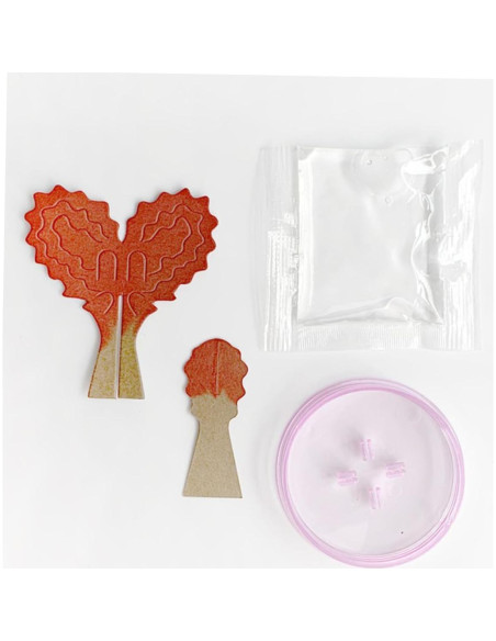 Kit de Crecimiento de Cristales en Forma de Corazón Vaguelly