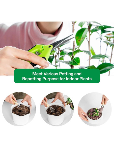 Set de Herramientas de Jardín IIUIKOO 5 Piezas Hierro Verde