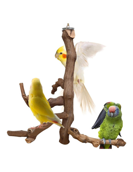 Soporte Natural para Aves Hamiledyi - Percha de Escalada 29 cm