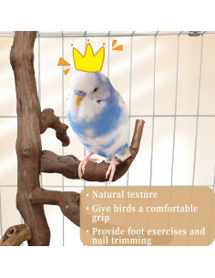 Soporte Natural para Aves Hamiledyi - Percha de Escalada 29 cm 2