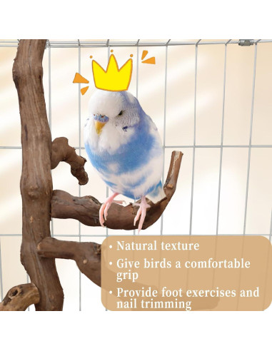 Soporte Natural para Aves Hamiledyi - Percha de Escalada 29 cm