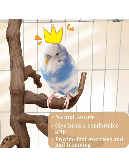 Soporte Natural para Aves Hamiledyi - Percha de Escalada 29 cm