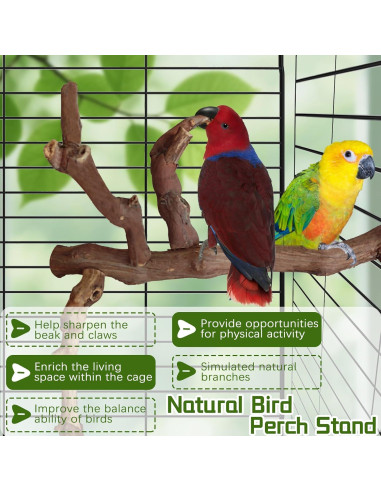 Soporte Natural para Aves Hamiledyi - Percha de Escalada 29 cm