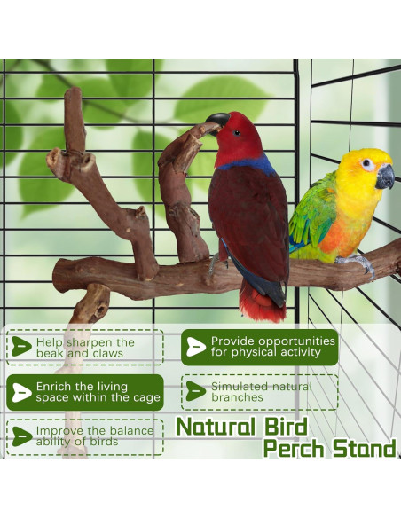 Soporte Natural para Aves Hamiledyi - Percha de Escalada 29 cm