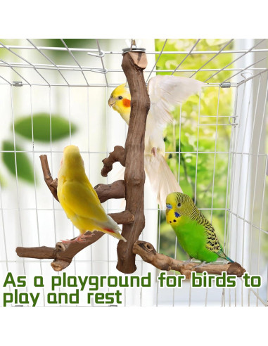 Soporte Natural para Aves Hamiledyi - Percha de Escalada 29 cm