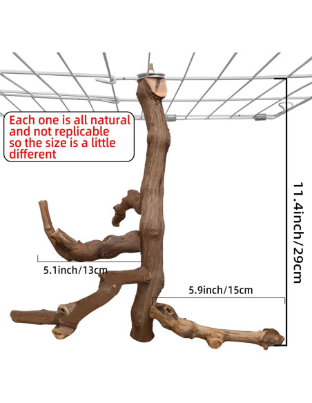 Soporte Natural para Aves Hamiledyi - Percha de Escalada 29 cm