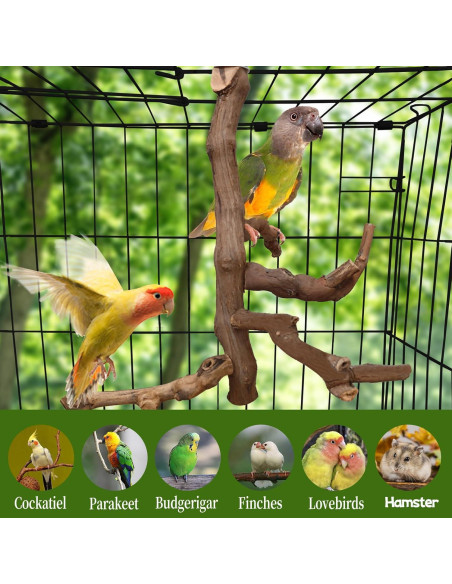 Soporte Natural para Aves Hamiledyi - Percha de Escalada 29 cm