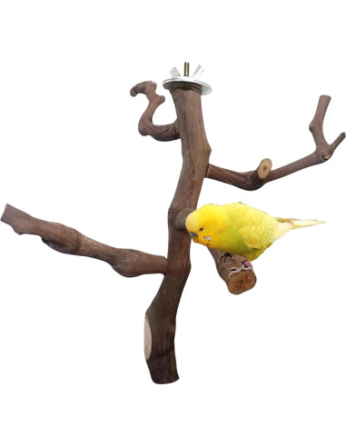 Soporte Natural para Aves Hamiledyi - Percha de Escalada 29 cm