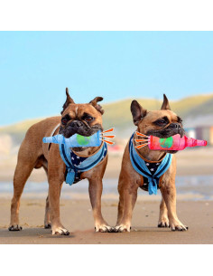 Juguete Interactivo para Perros Mity Rain Botella Azul 14cm 2