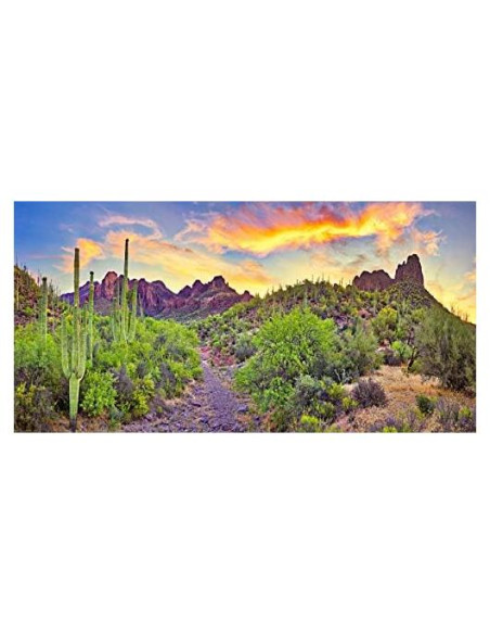 Fondo de Fotografía YongFoto 90x60 cm Cactus Desierto