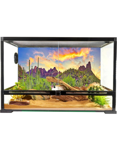 Fondo de Fotografía YongFoto 90x60 cm Cactus Desierto