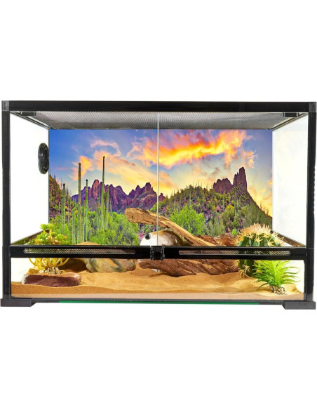 Fondo de Fotografía YongFoto 90x60 cm Cactus Desierto