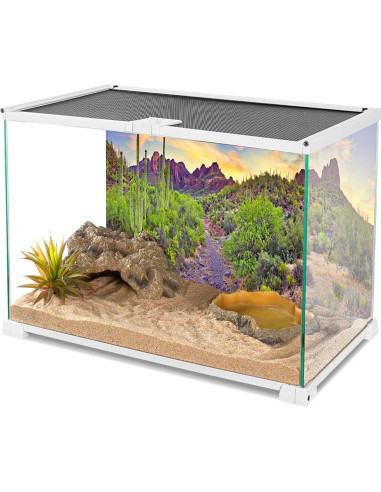 Fondo de Fotografía YongFoto 90x60 cm Cactus Desierto