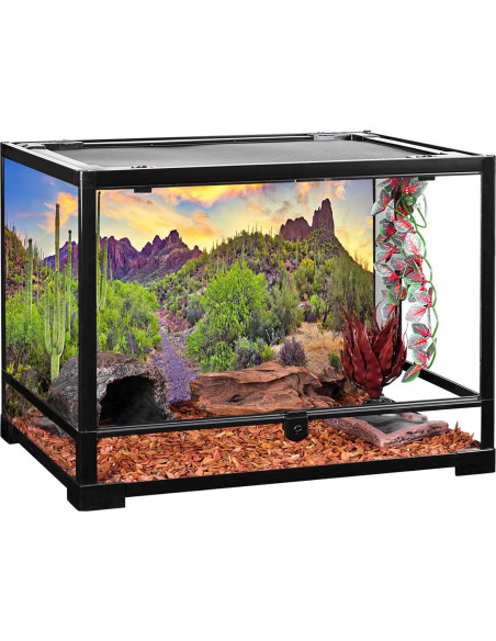 Fondo de Fotografía YongFoto 90x60 cm Cactus Desierto