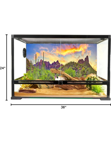 Fondo de Fotografía YongFoto 90x60 cm Cactus Desierto