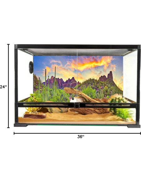 Fondo de Fotografía YongFoto 90x60 cm Cactus Desierto