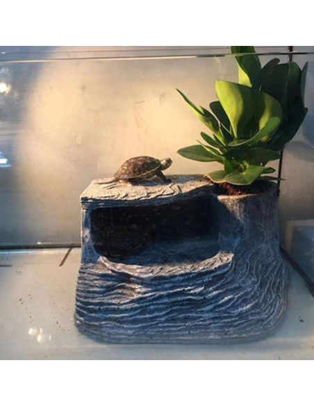 Plataforma de Sol para Tortugas Tfwadmx - Resina Natural 21x16.5cm