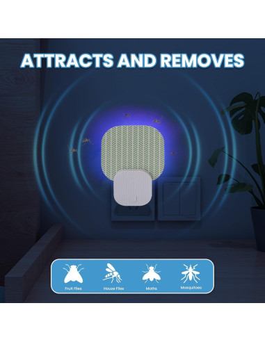 Trampa para Moscas Interior Plainsity MKH-FP-ATE80-4P, 3 Adhesivos