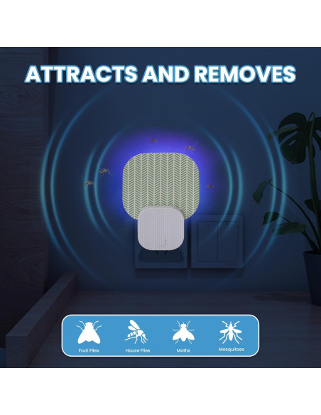 Trampa para Moscas Interior Plainsity MKH-FP-ATE80-4P, 3 Adhesivos