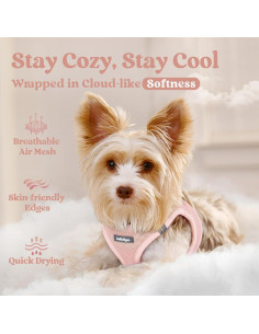 Arnés para Perros Pequeños Rabbitgoo Rosa S - Malla Suave y Reflectante 2