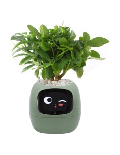 Maceta Inteligente Itigoitie Verde con Pantalla LCD y Sensor