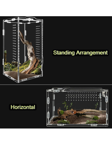 Terrario Acrílico REPTIDLDB para Arañas y Reptiles 15x20x35 cm
