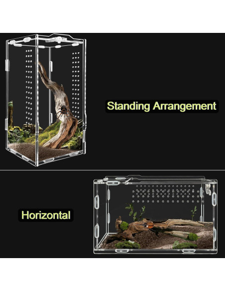 Terrario Acrílico REPTIDLDB para Arañas y Reptiles 15x20x35 cm