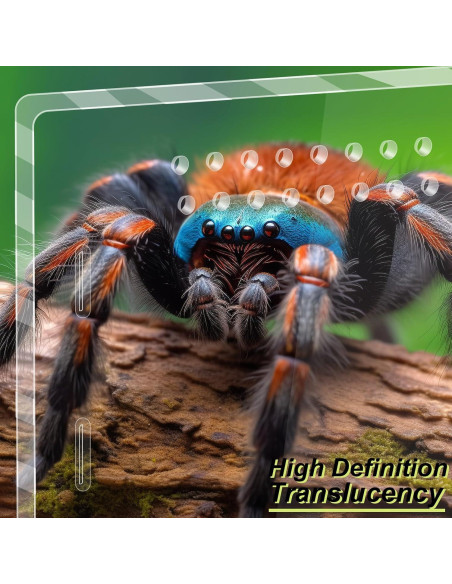 Terrario Acrílico REPTIDLDB para Arañas y Reptiles 15x20x35 cm