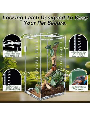 Terrario Acrílico REPTIDLDB para Arañas y Reptiles 15x20x35 cm