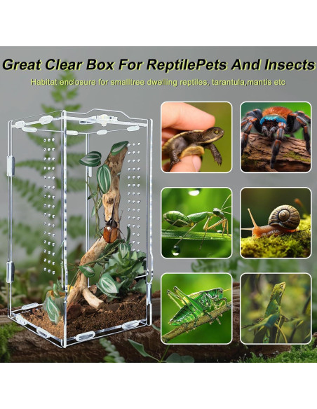 Terrario Acrílico REPTIDLDB para Arañas y Reptiles 15x20x35 cm
