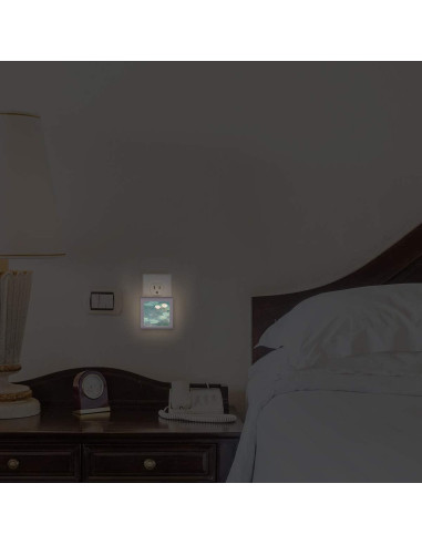 Luz Nocturna LED Art Plates Monet Regulable Automática 0.5W