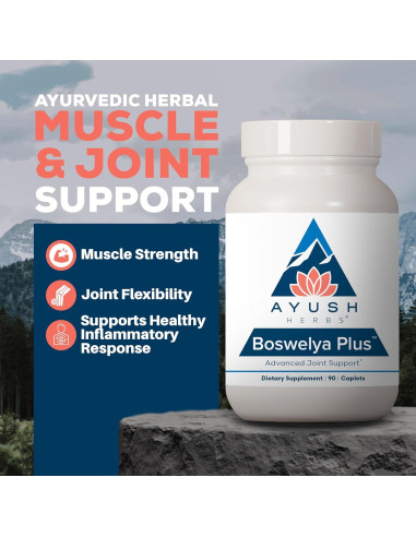 Suplemento Articular Ayush Herbs Boswelya Plus - 90 Cápsulas