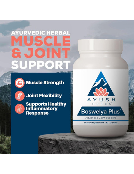 Suplemento Articular Ayush Herbs Boswelya Plus - 90 Cápsulas