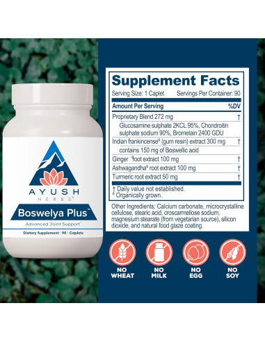 Suplemento Articular Ayush Herbs Boswelya Plus - 90 Cápsulas