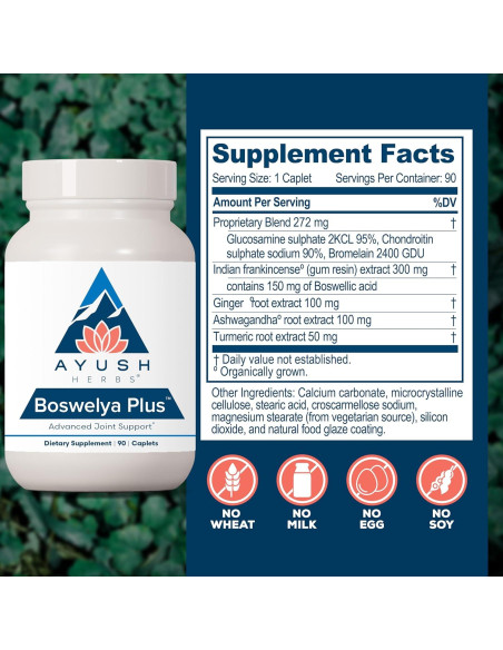 Suplemento Articular Ayush Herbs Boswelya Plus - 90 Cápsulas