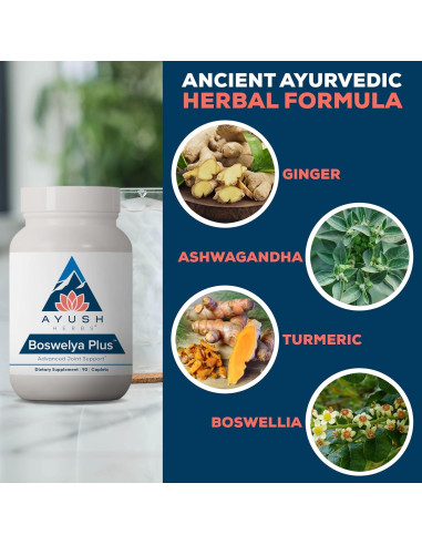 Suplemento Articular Ayush Herbs Boswelya Plus - 90 Cápsulas