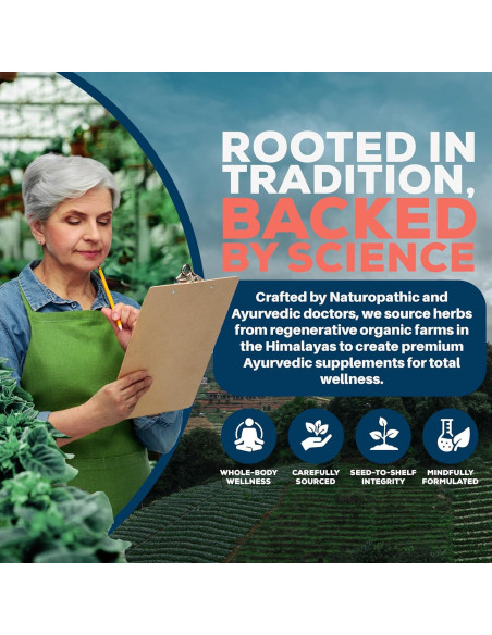 Suplemento Articular Ayush Herbs Boswelya Plus - 90 Cápsulas