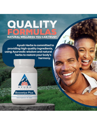 Suplemento Articular Ayush Herbs Boswelya Plus - 90 Cápsulas