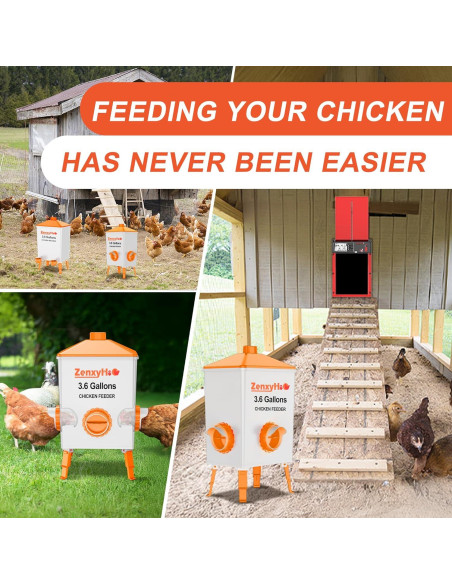 Comedero Automático para Pollos ZenxyHoC con 8 Puertos