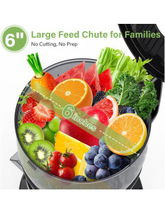 Exprimidor de Prensa Fría OMMO OM281 300W para Frutas y Verduras 2